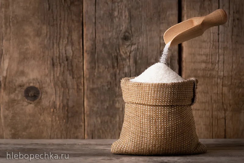 Продукты, которыми ни в коем случае нельзя кормить собаку