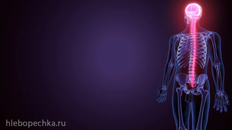 Питание для облегчения боли при остеоартрите