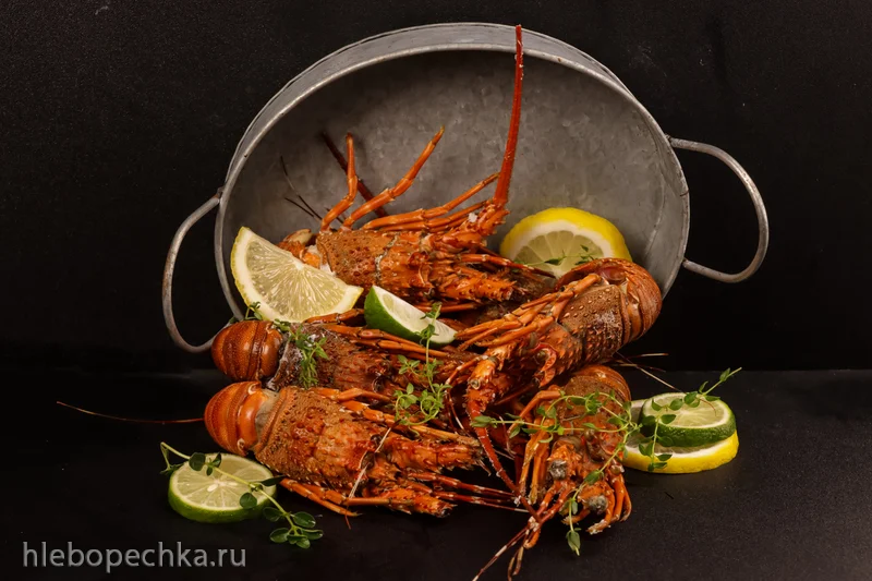 От удобрения до деликатеса: увлекательная история лобстера