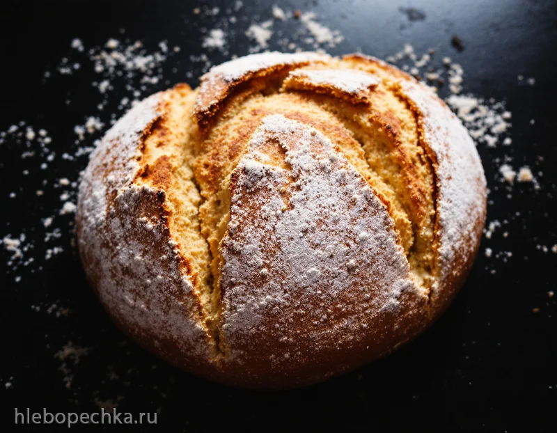 Майк Мутцель о ферментации продуктов, естественной еде и тренировках