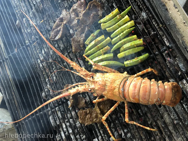 От удобрения до деликатеса: увлекательная история лобстера