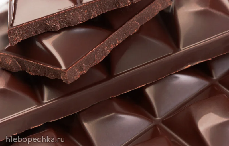 Продукты, которыми ни в коем случае нельзя кормить собаку