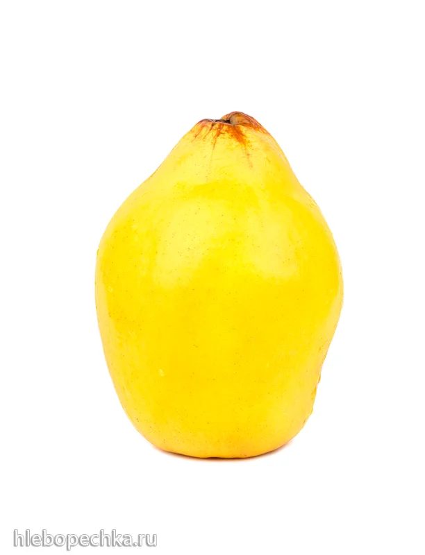 Айва