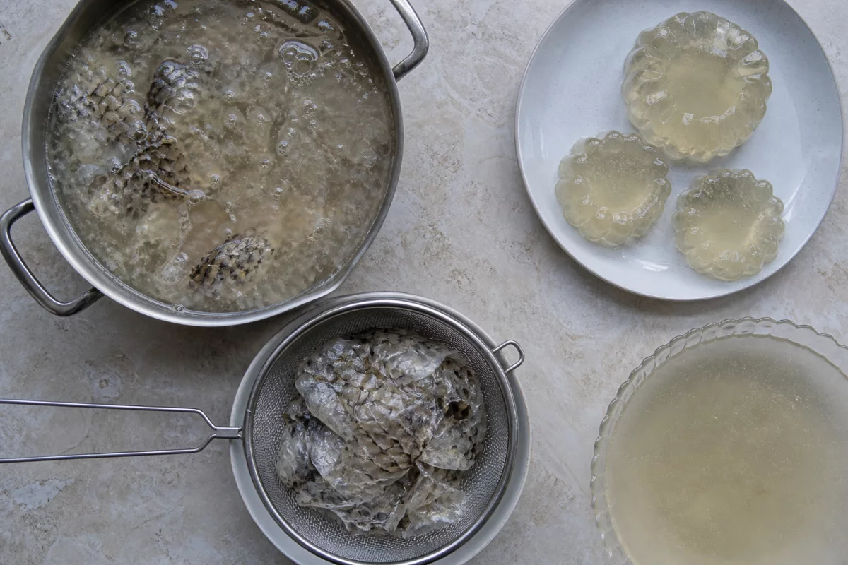 Рыбья чешуя