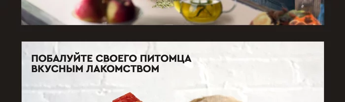 Электрические сушилки для овощей и фруктов Gfgrill