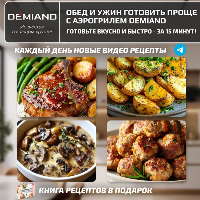 Аэрогриль Demiand CRISPO с технологией обдува воздуха на 360°, с функциями фритюрницы, гриля