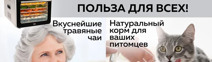 Электрическая сушилка для овощей и фруктов Gfgril GFD-010