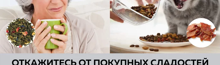 Электрическая сушилка для овощей и фруктов Gfgril GFD-010