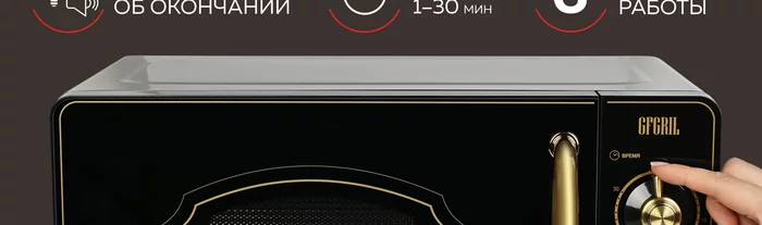 Микроволновая печь Gfgril GF-MWO202-black