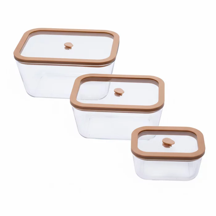 Набор вакуумных контейнеров STATUS Viva set 4 salmon