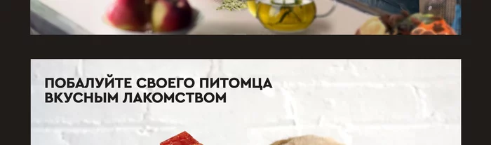 Электрическая сушилка для овощей и фруктов Gfgril GFD-002