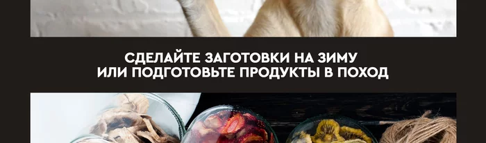 Электрические сушилки для овощей и фруктов Gfgrill