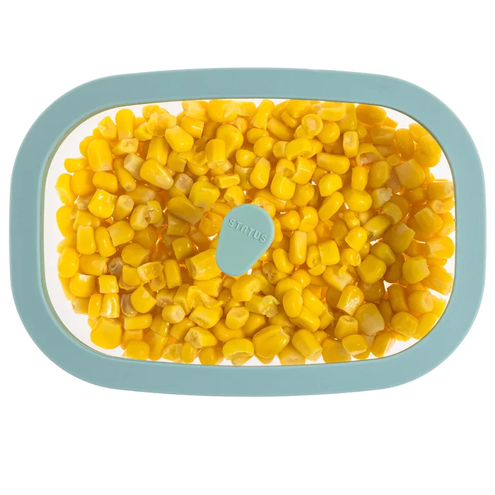 Контейнер вакуумный STATUS Fresko 14 mint