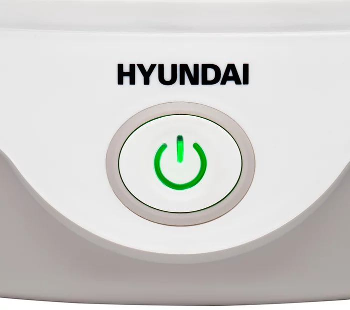 Сушка для фруктов и овощей Hyundai HYFD-0606