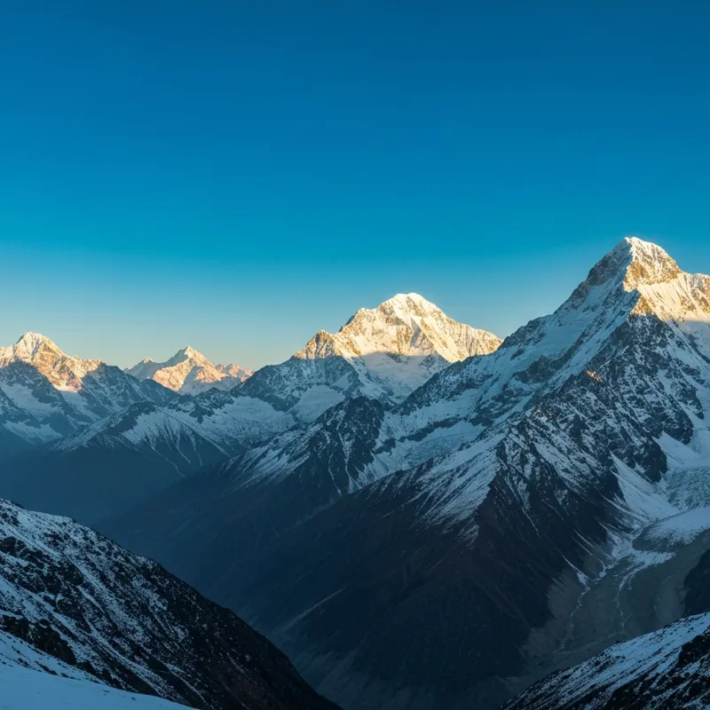 Доктор Энтони Чаффи: нужно ли людям мясо, чтобы оставаться здоровыми?