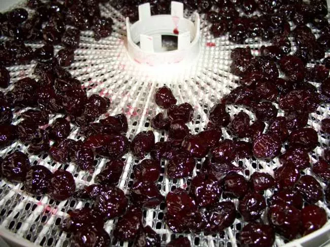 Вишня вяленая домашняя