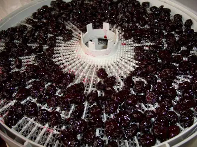 Вишня вяленая домашняя