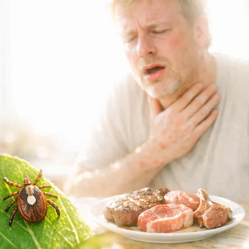 Клещи и болезни: что важно знать каждому