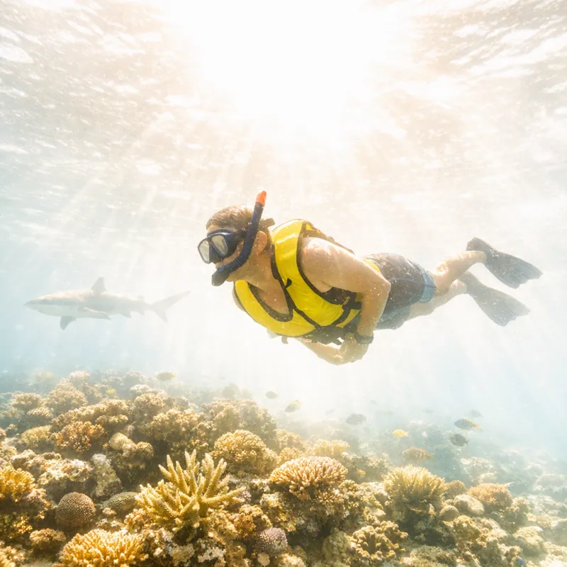 Снорклинг: снаряжение и выживание