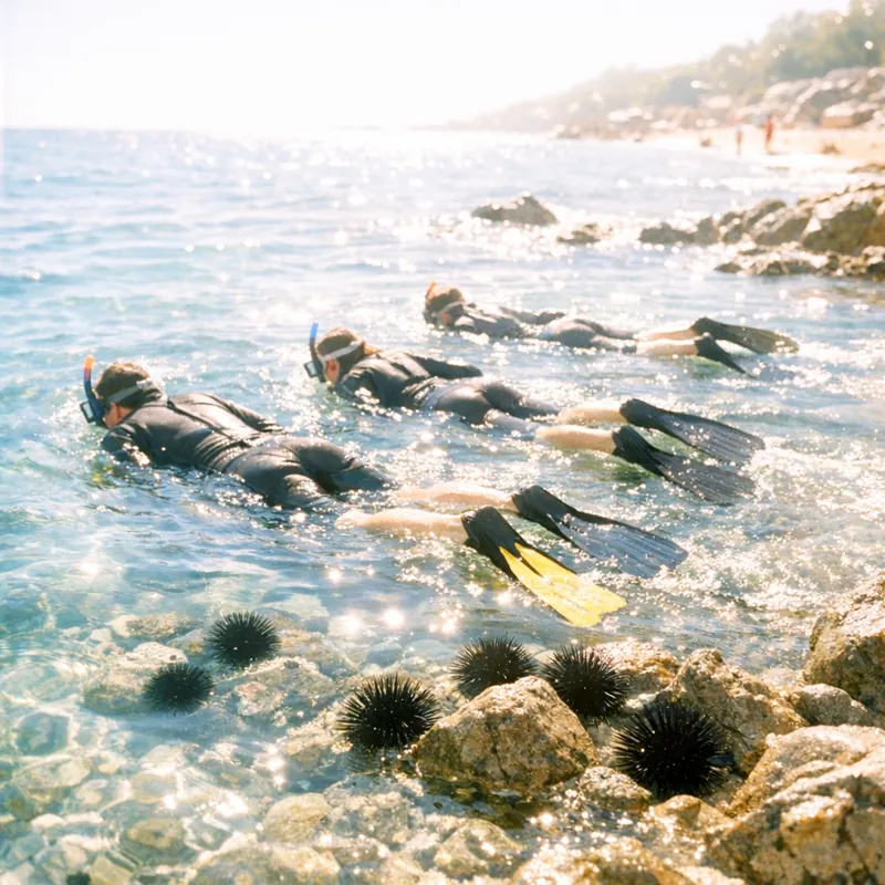 Снорклинг: снаряжение и выживание