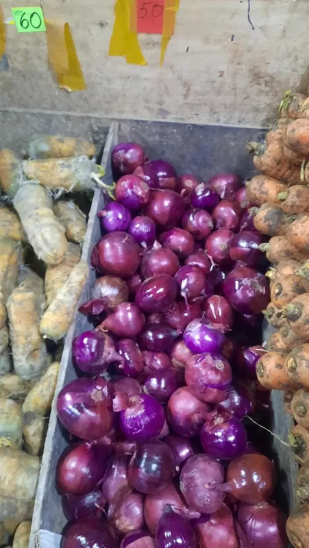 Где, что и когда купить в Москве