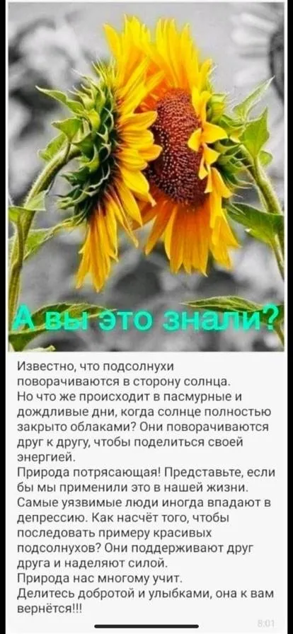 Кафе «У пани Сони»
