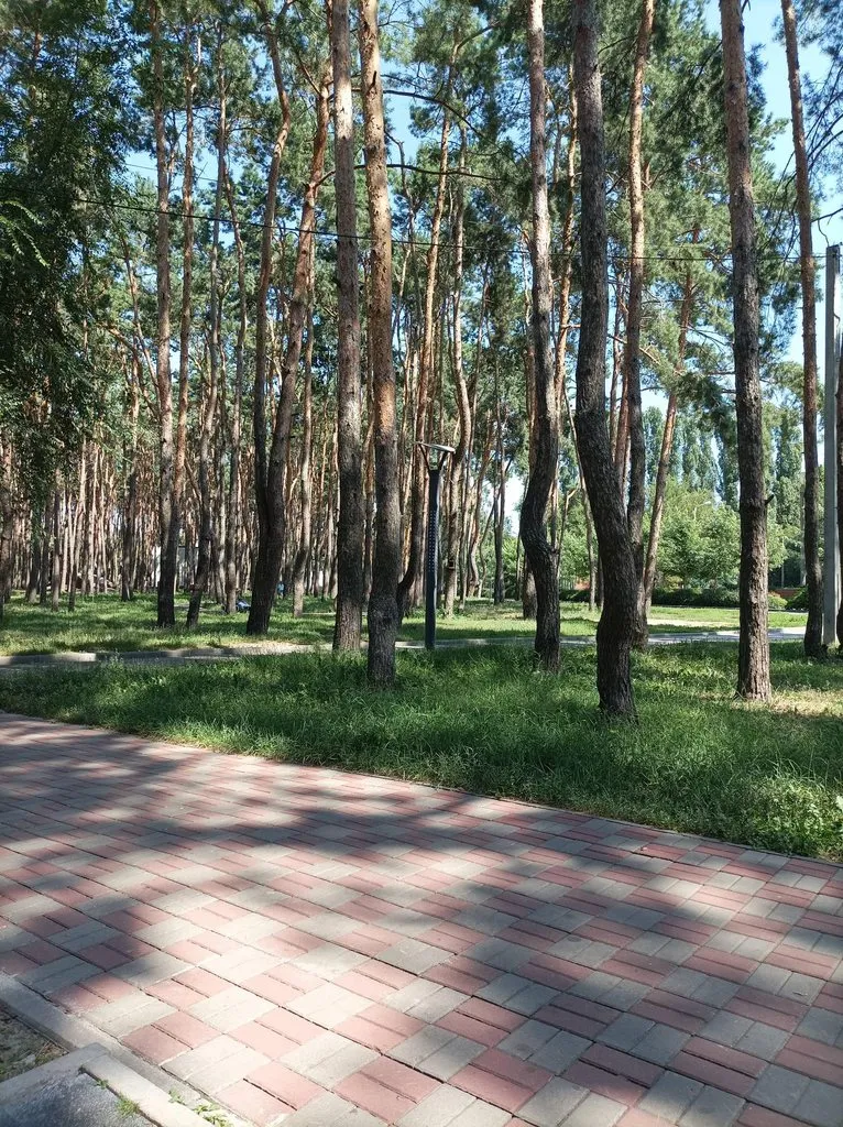 Чайная беседка