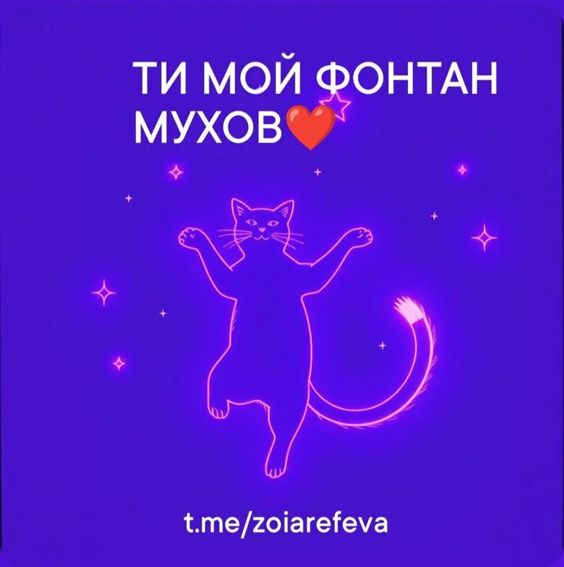Кошичкина полиция