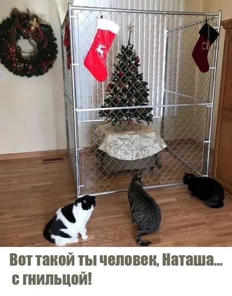Посмеялся сам - поделись с другом!!!