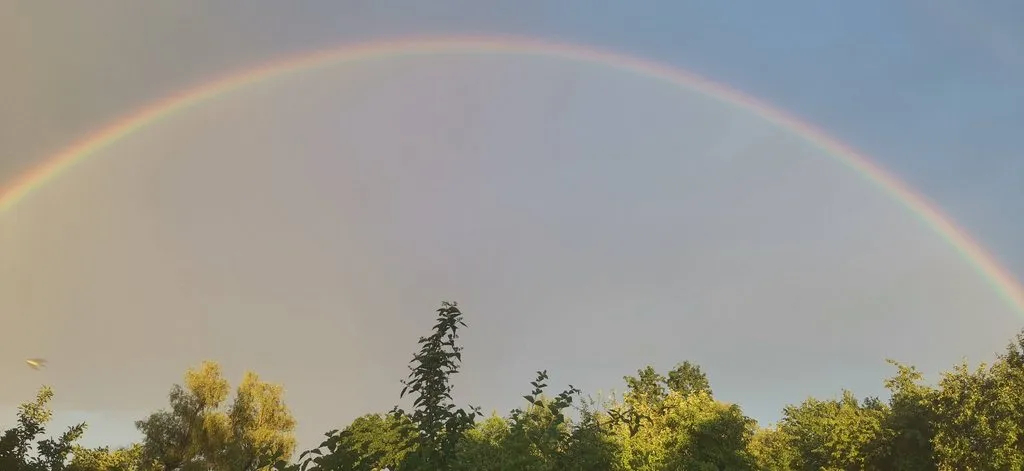 Такое разное небо