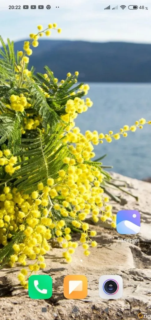 Чайная беседка