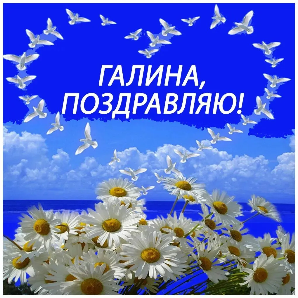 Tapтaлeтки & Ко