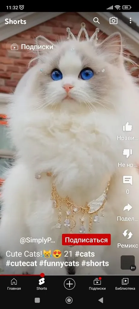 Tapтaлeтки & Ко