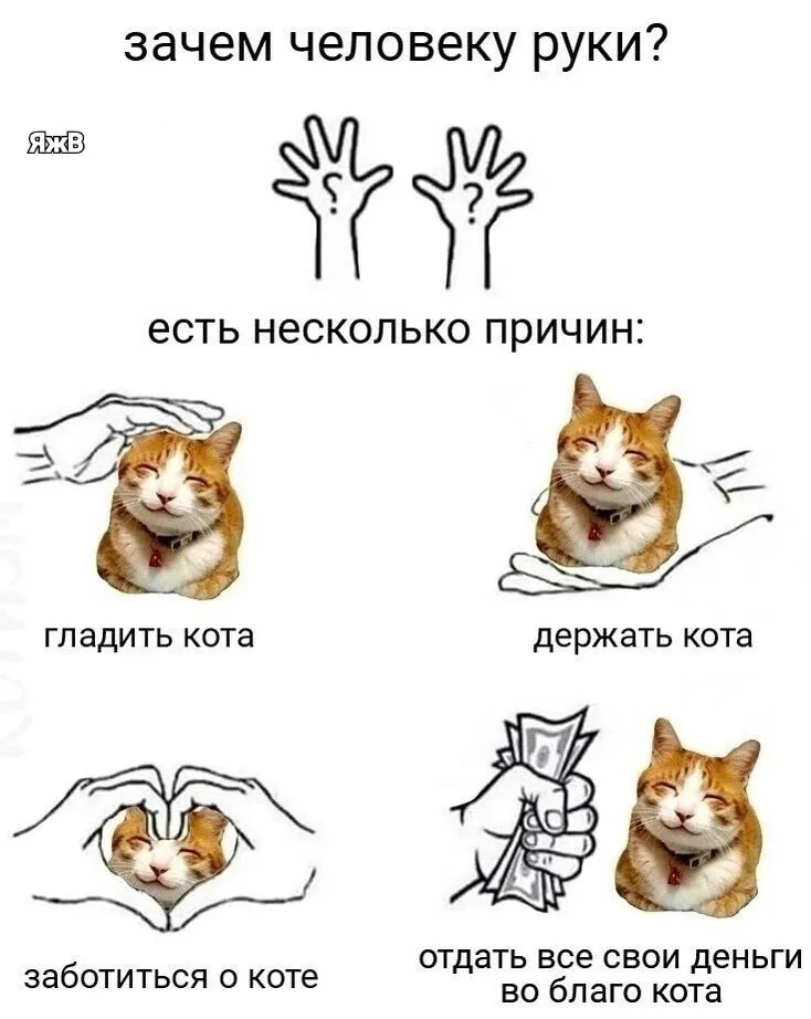 Кто сказал "Мяу"?