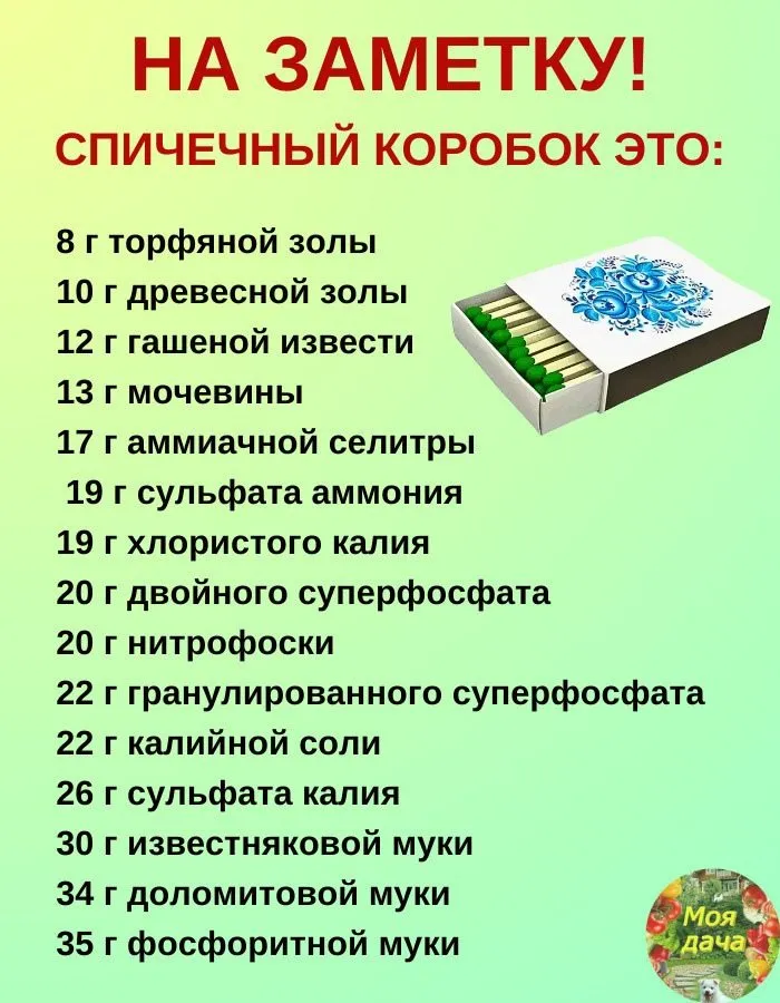 Сажаем, растим, собираем урожай…
