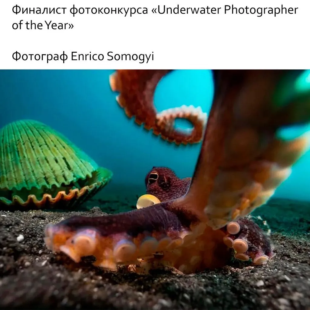 Это интересно!
