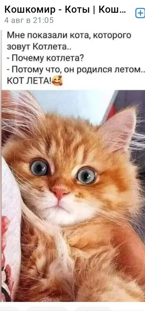 Посмеялся сам - поделись с другом!!!