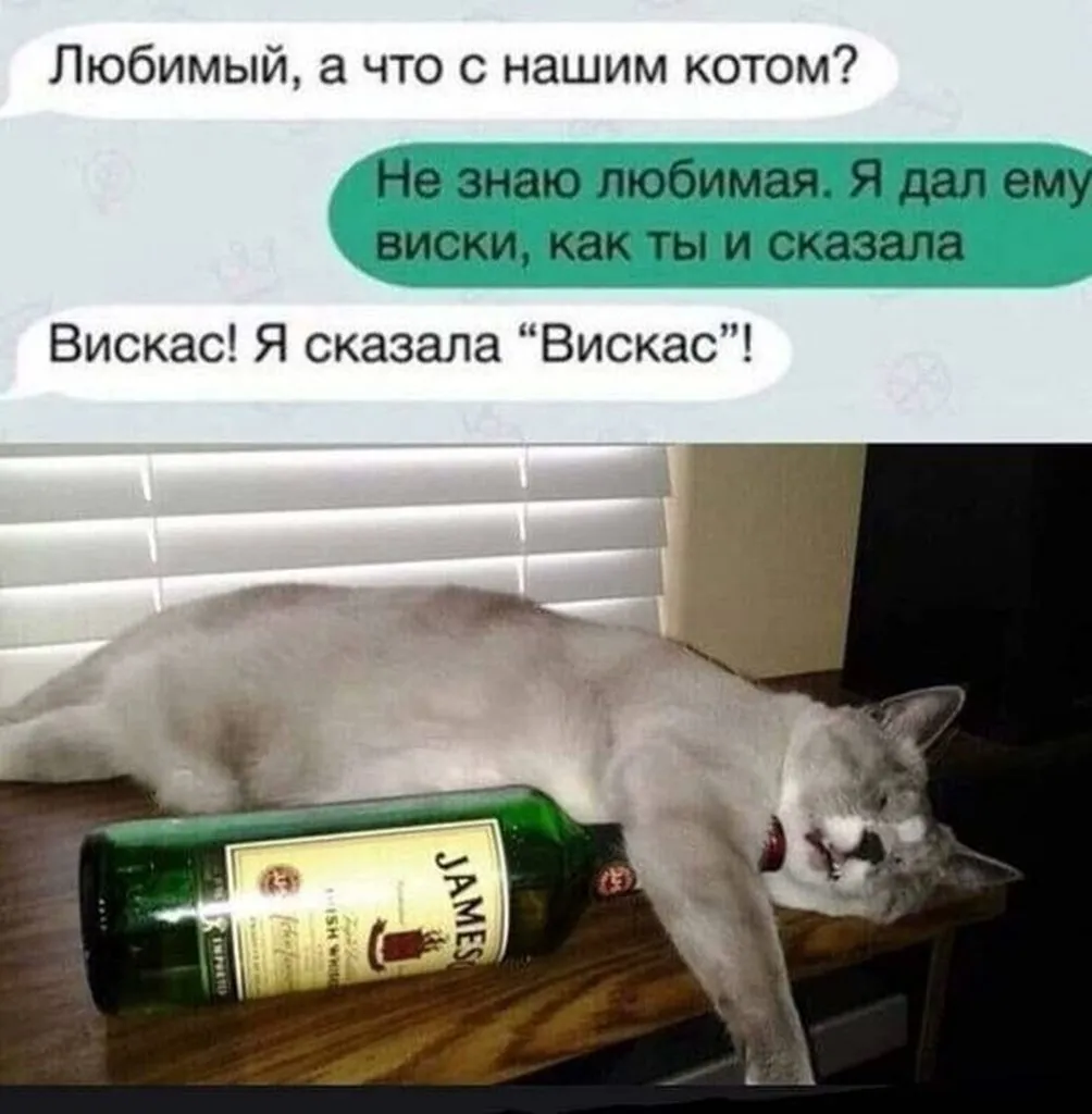 Посмеялся сам - поделись с другом!!!