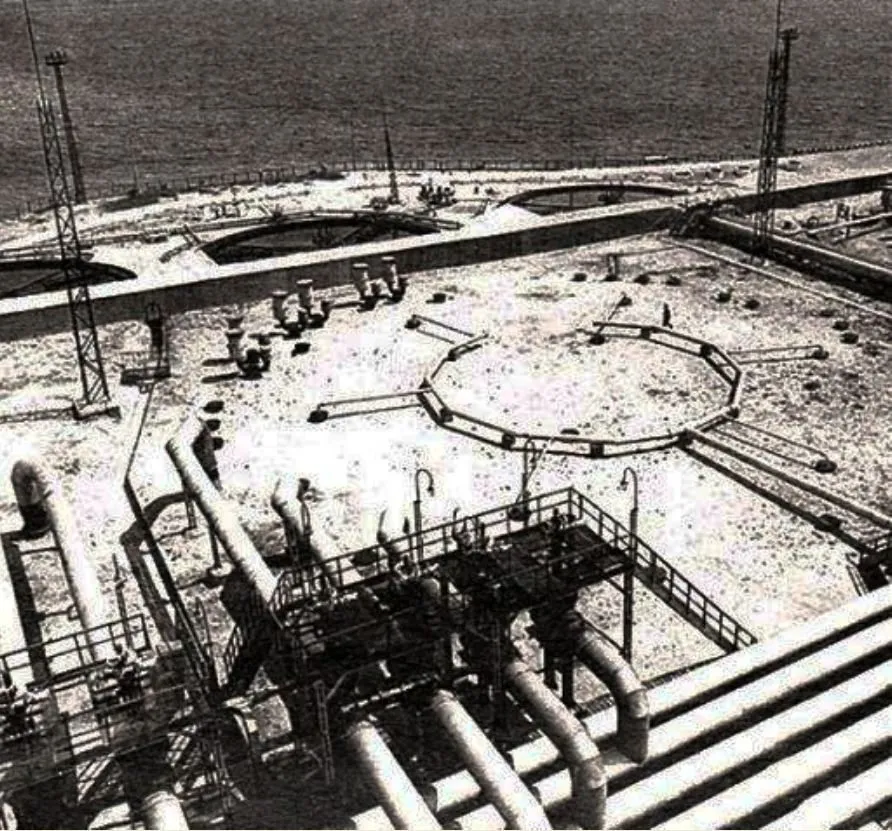 Запечатленная история