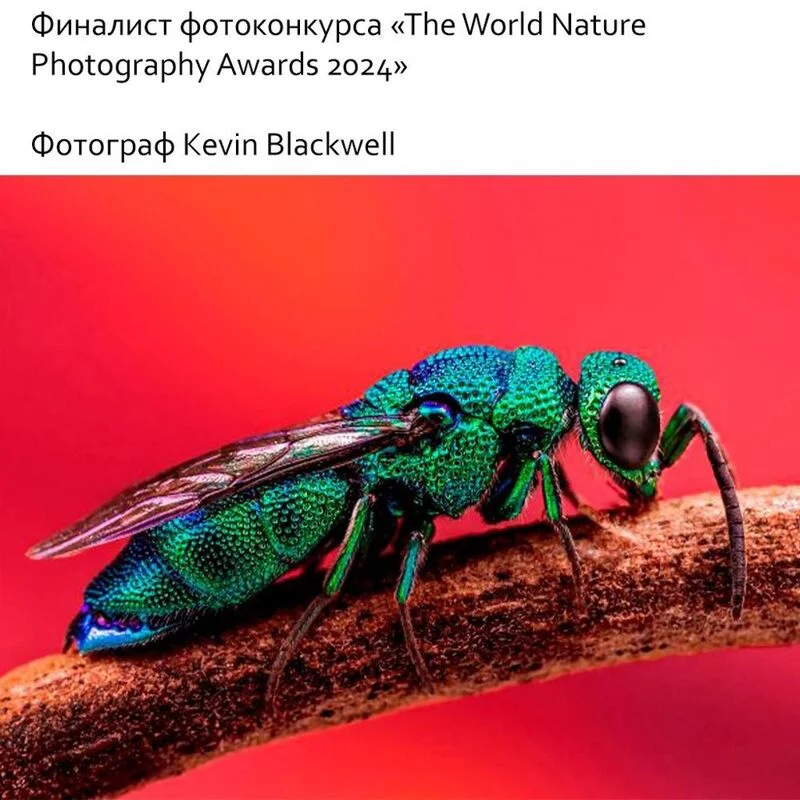 Это интересно!