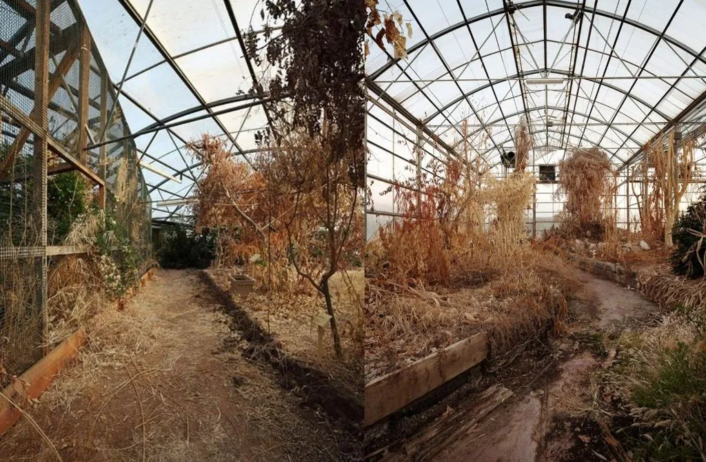 Запечатленная история