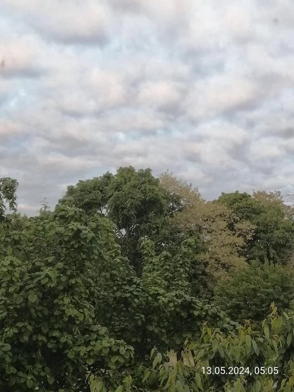 Такое разное небо