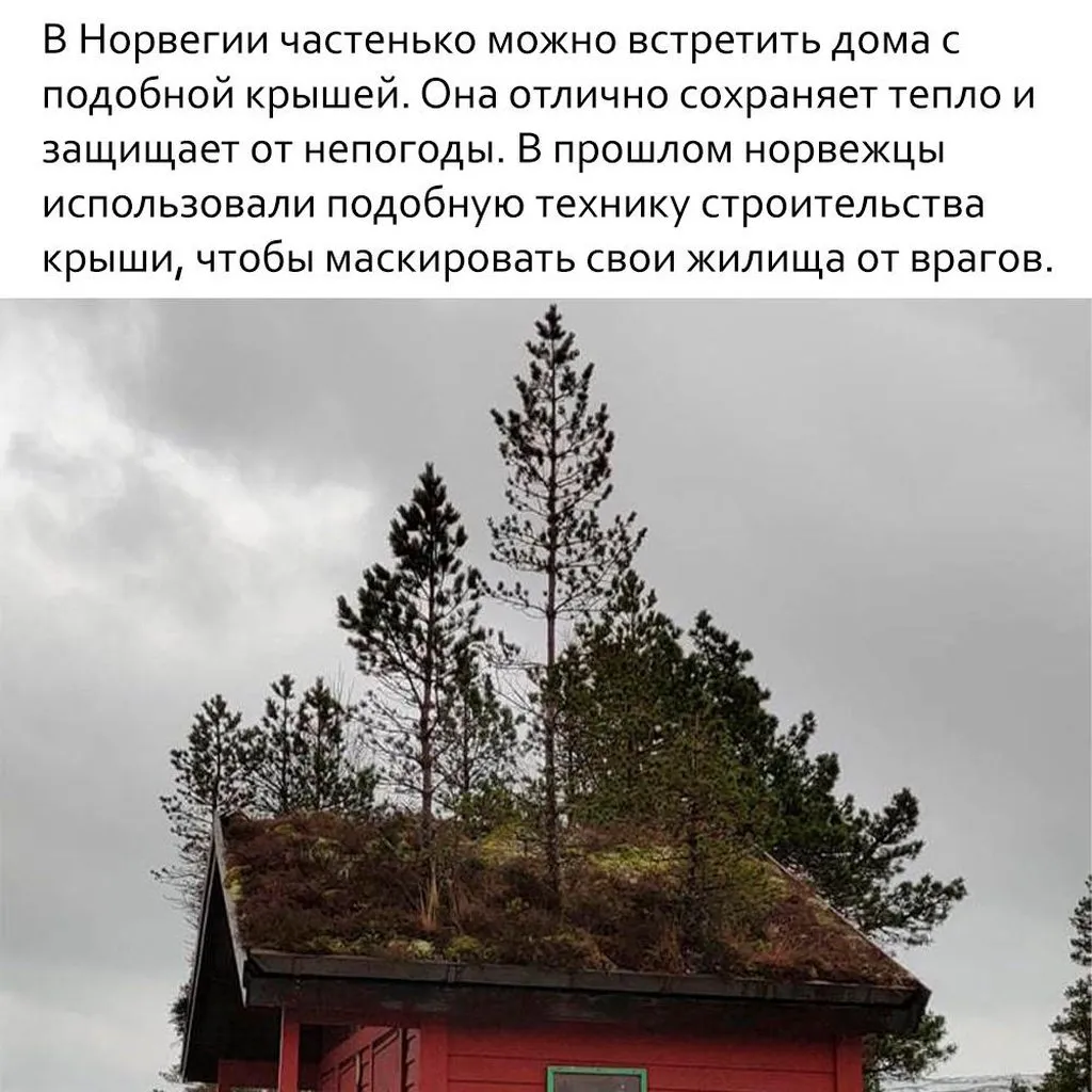 Это интересно!