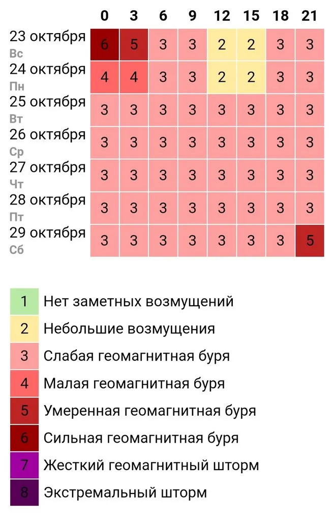 Tapтaлeтки & Ко