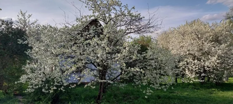 Коломенское