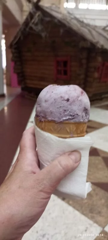 Tapтaлeтки & Ко