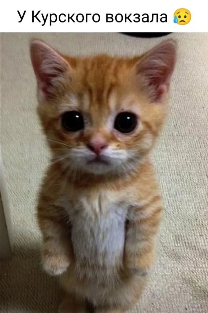 Посмеялся сам - поделись с другом!!!