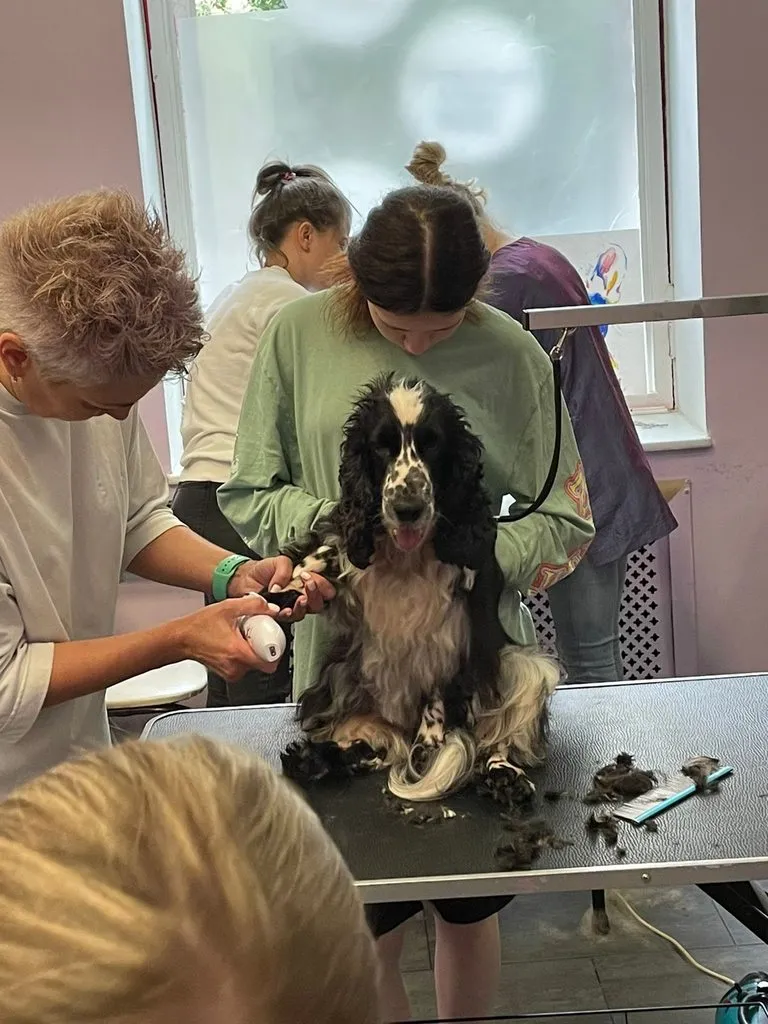 Чайная беседка