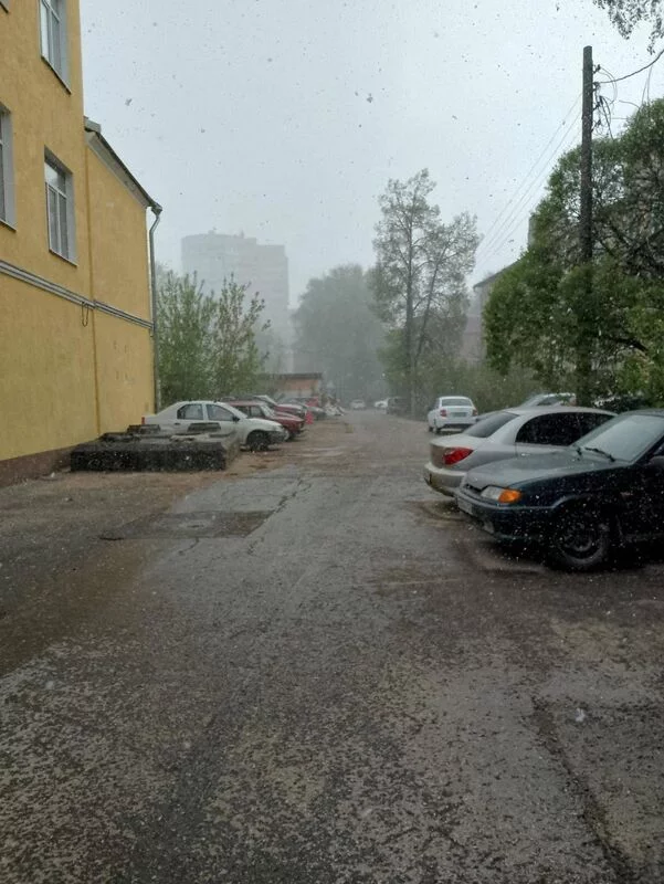 Tapтaлeтки & Ко