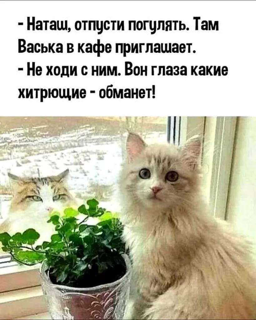 Посмеялся сам - поделись с другом!!!